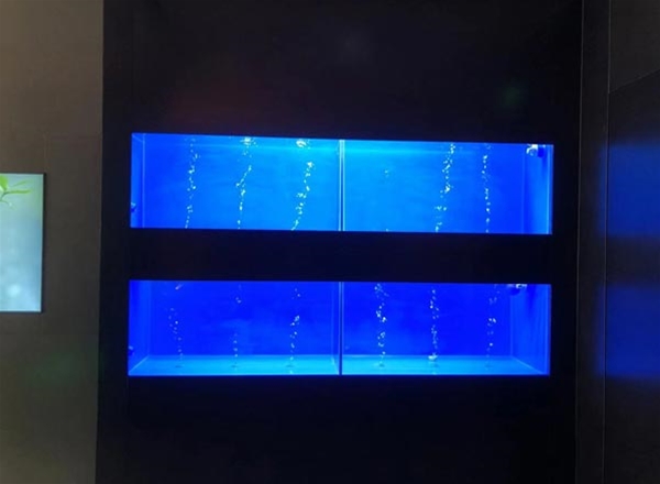 海鮮冷水機(jī)